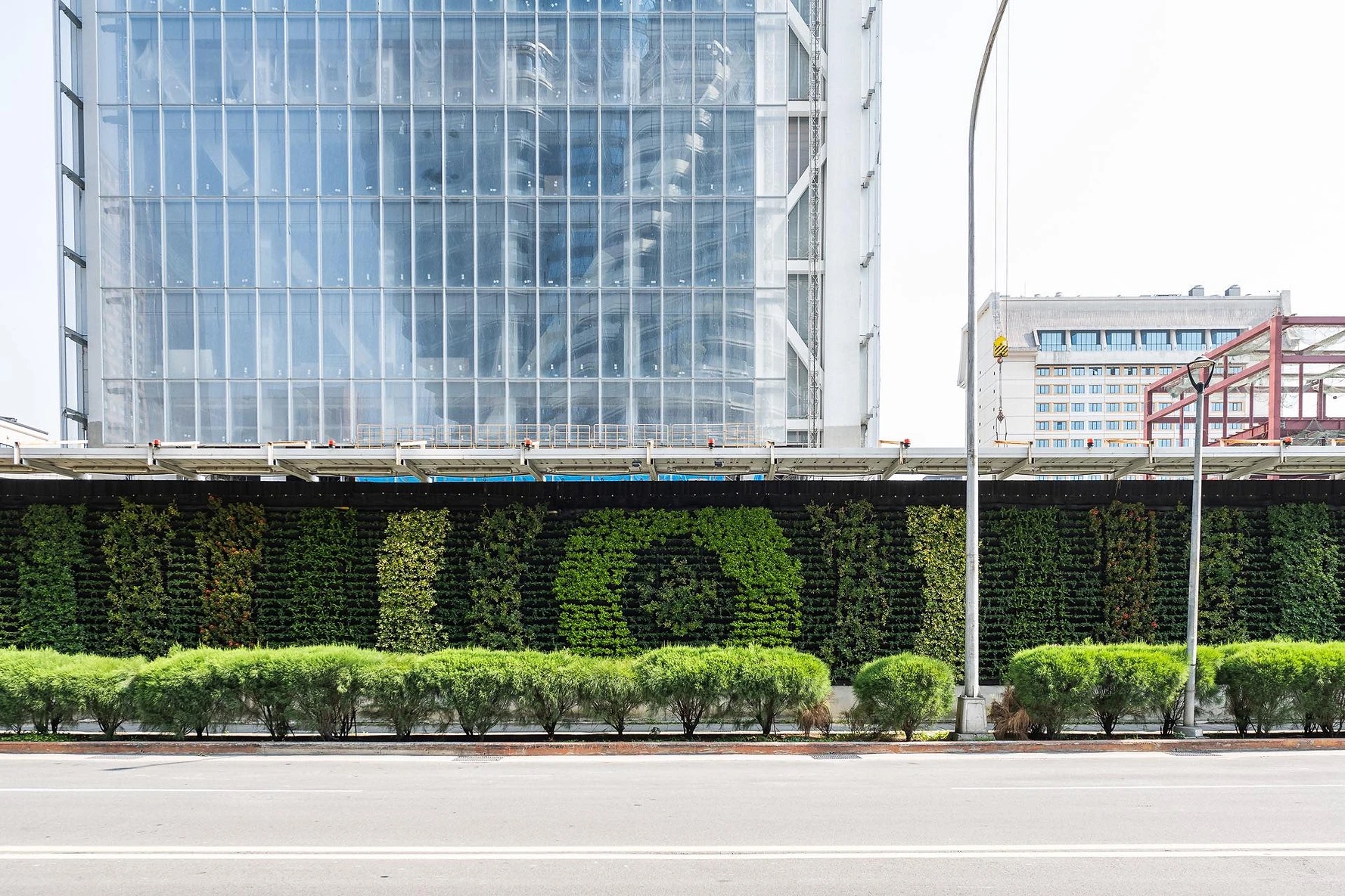 Agichenstudio Color (2)